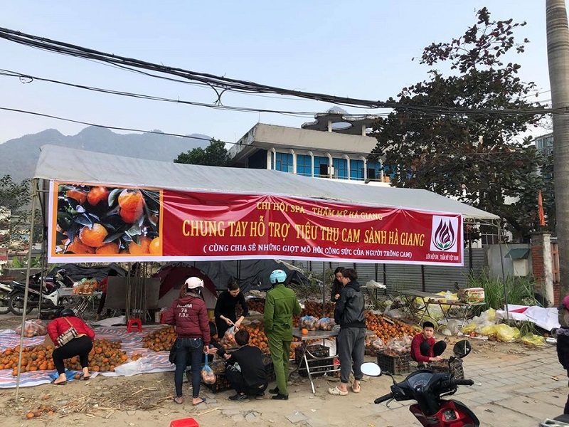 Chi hội Spa Thẩm mỹ Hà Giang “giải cứu” cam giúp người dân