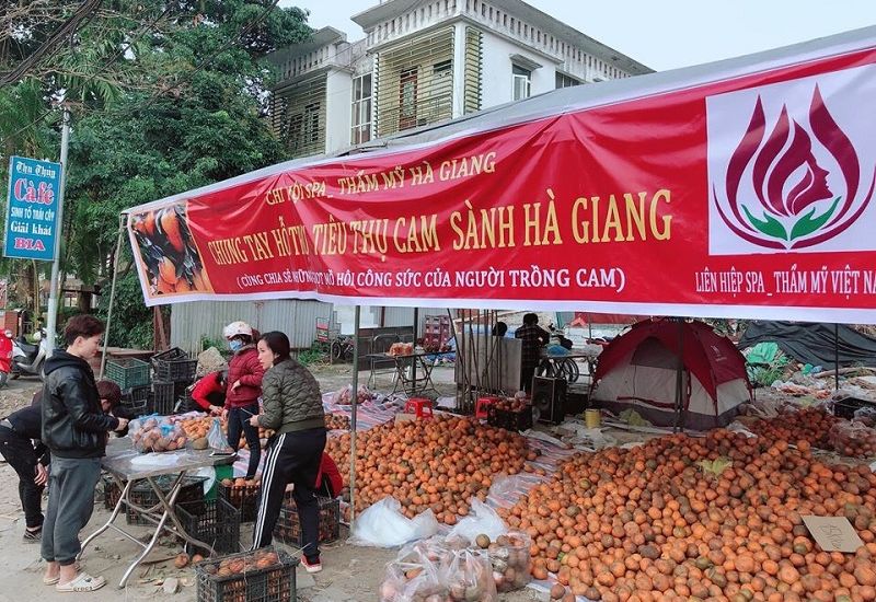 Chi hội Spa Thẩm mỹ Hà Giang “giải cứu” cam giúp người dân 